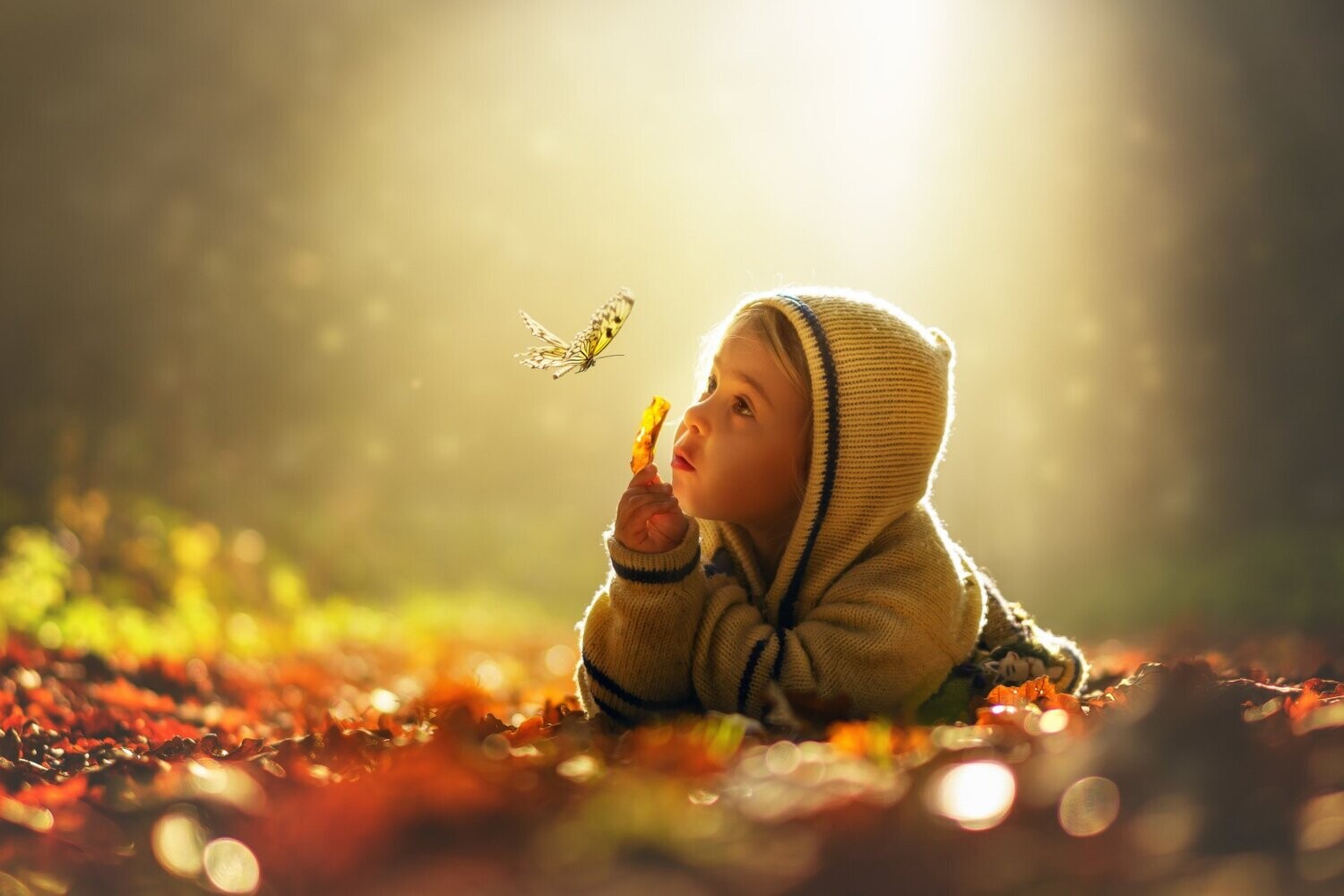 Eltern-Beratung für Kinder