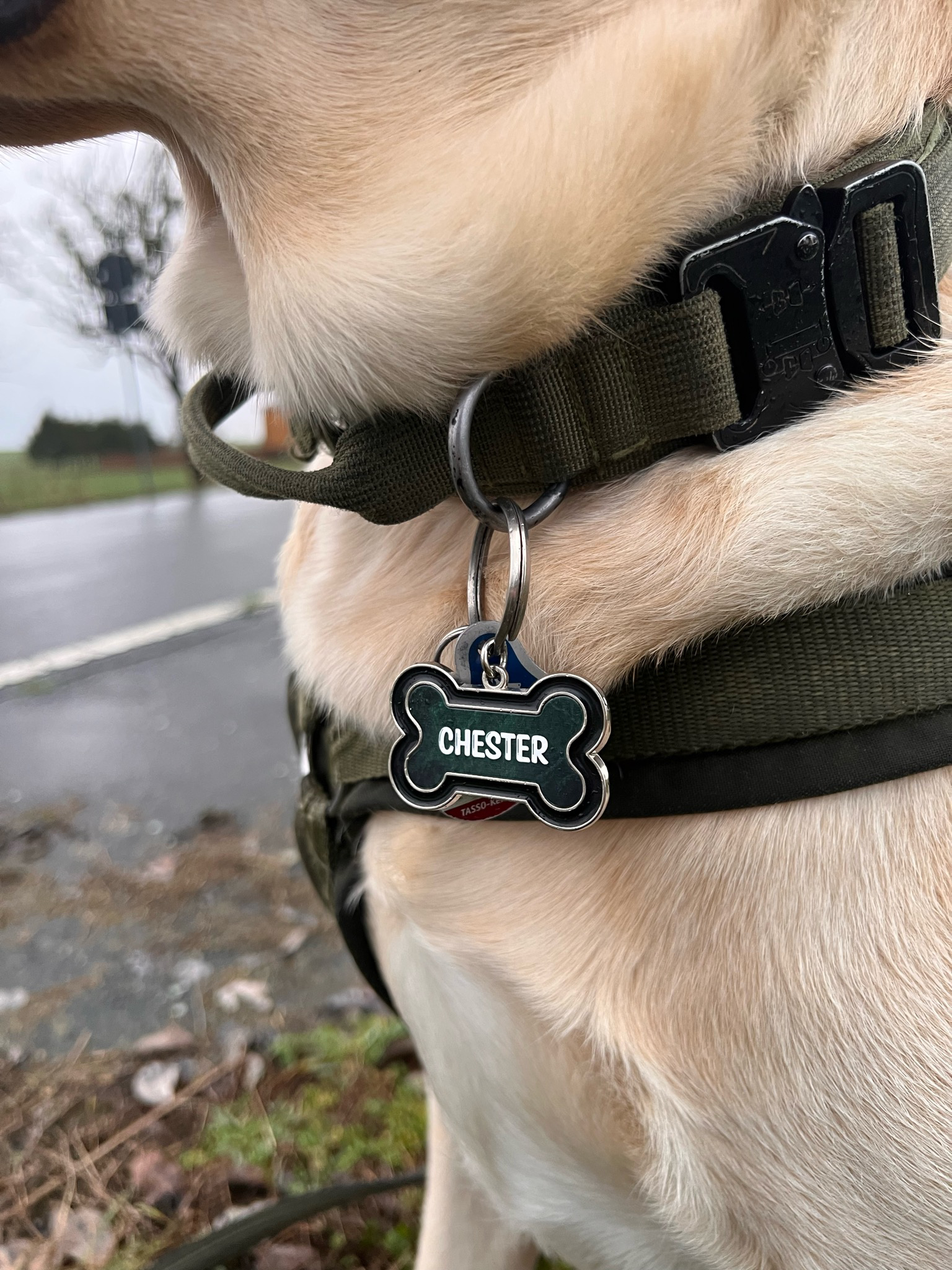 Hundemarke einseitig bedruckt