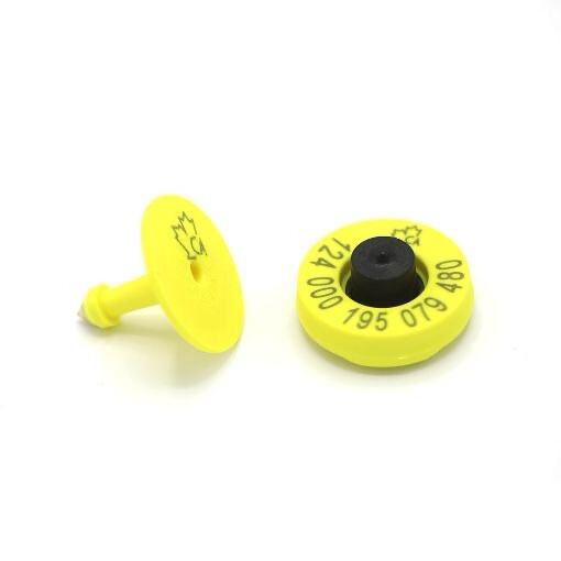 Allflex Indicator 100 Pack FDX