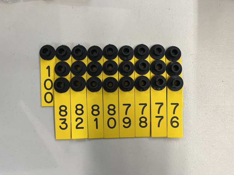 Yellow Sheep Tag #76-100