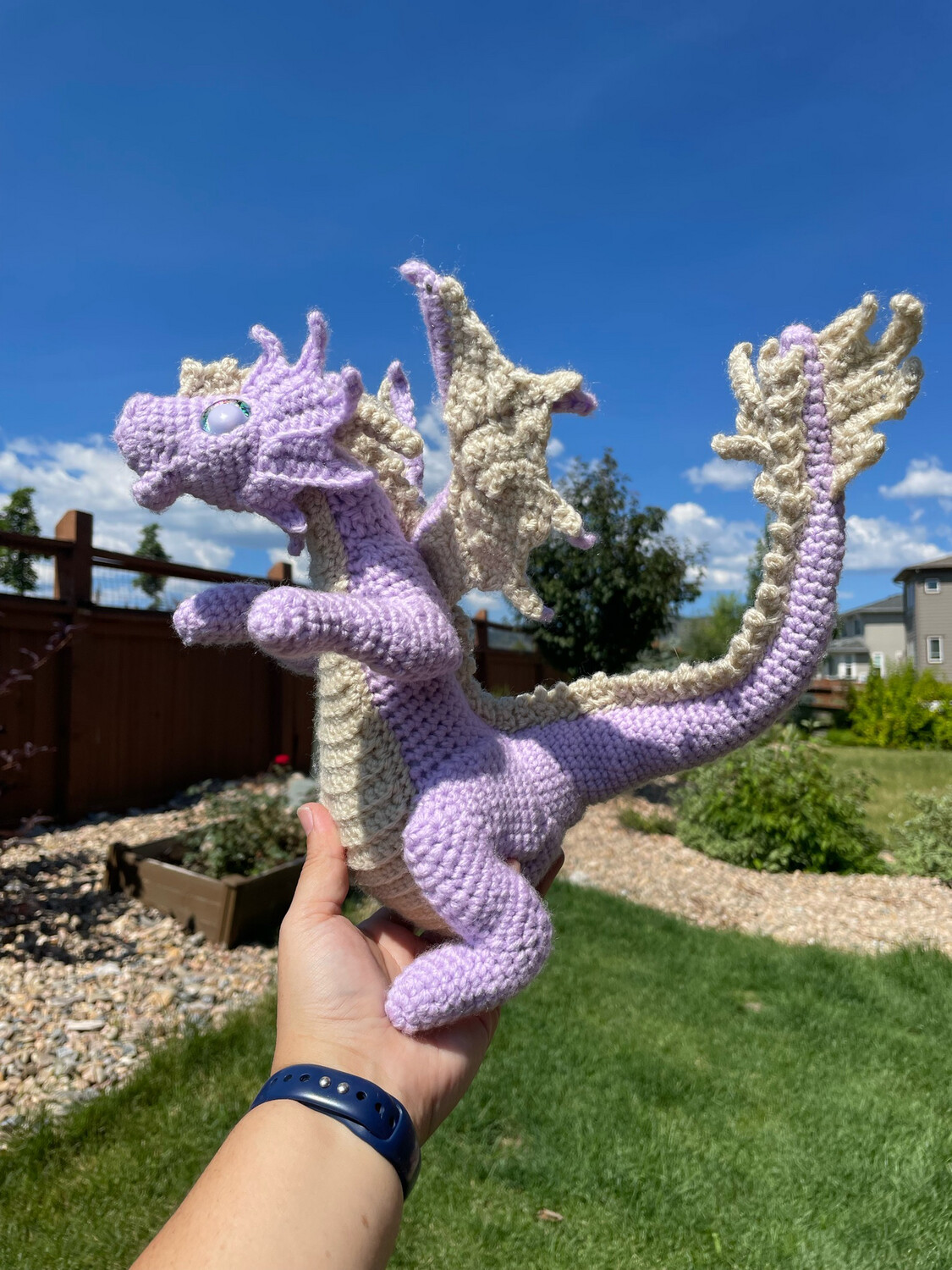 Curvy Dragon