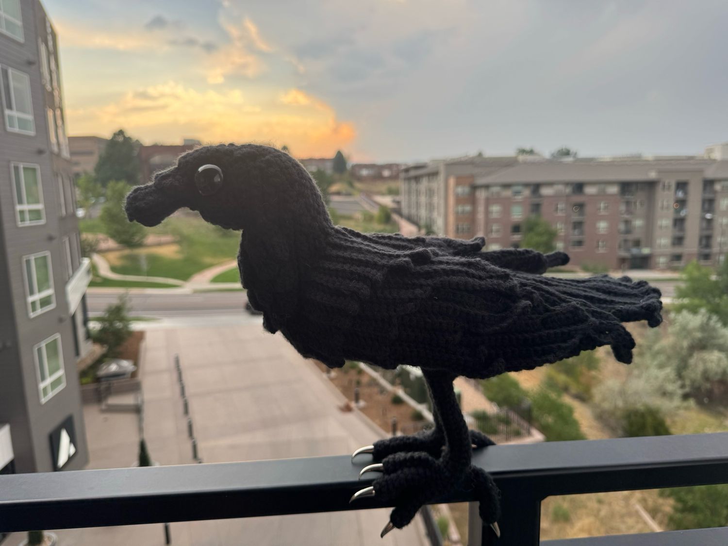 Raven