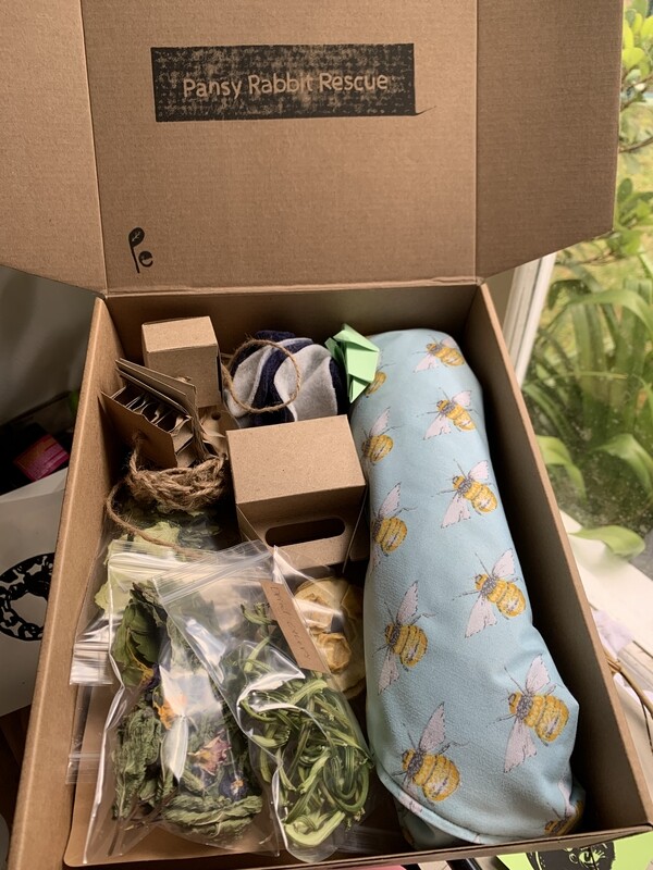 ratty fundraiser box