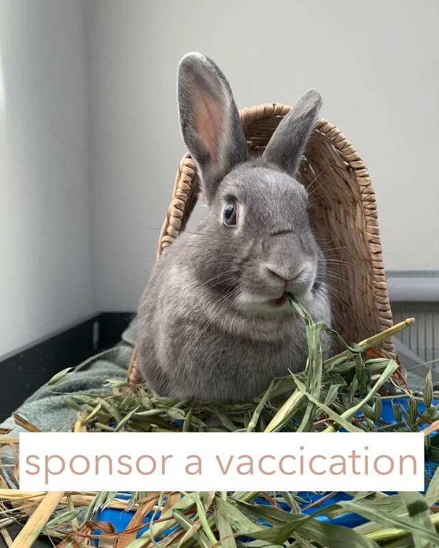 sponsor a vaccination
