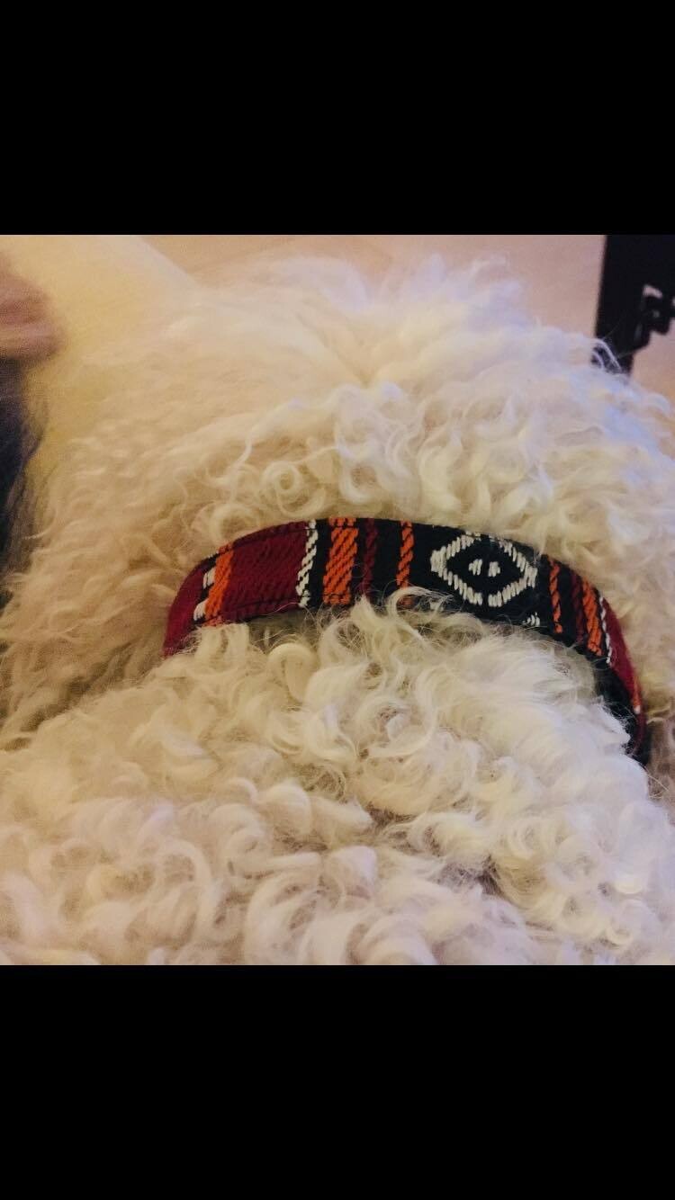 Striped Red Collar &amp; Leash