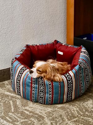 Bolster Beds