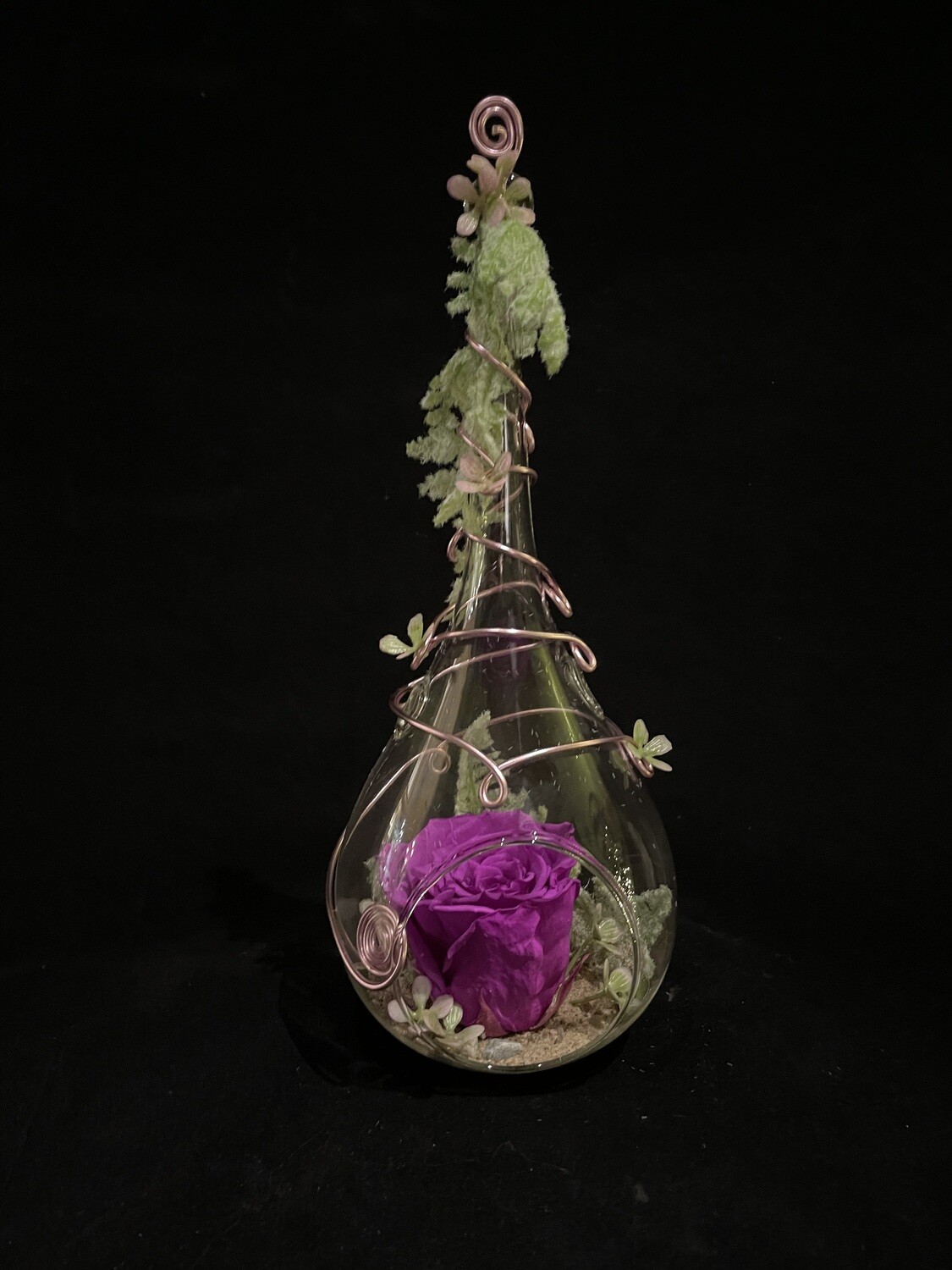 Rose éternelle mauve