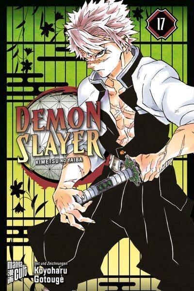 Demon Slayer - Kimetsu No Yaiba 17