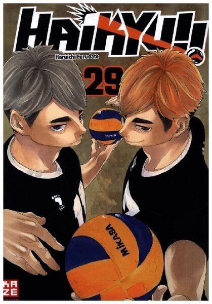 Haikyu!! 29