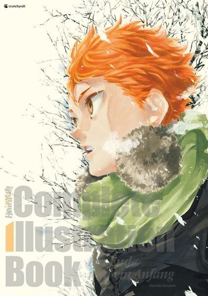 Haikyu!! Complete illustration Book - Ein Ende und ein Anfang