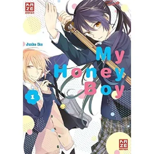 My Honey Boy 01 Manga (Neu)