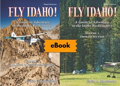 Fly Idaho! eBook