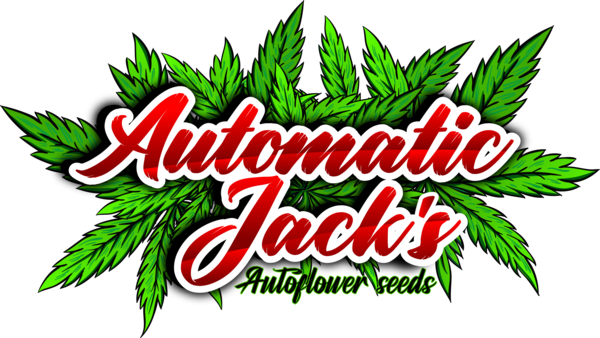 Automatic Jack's Autoflower Seeds