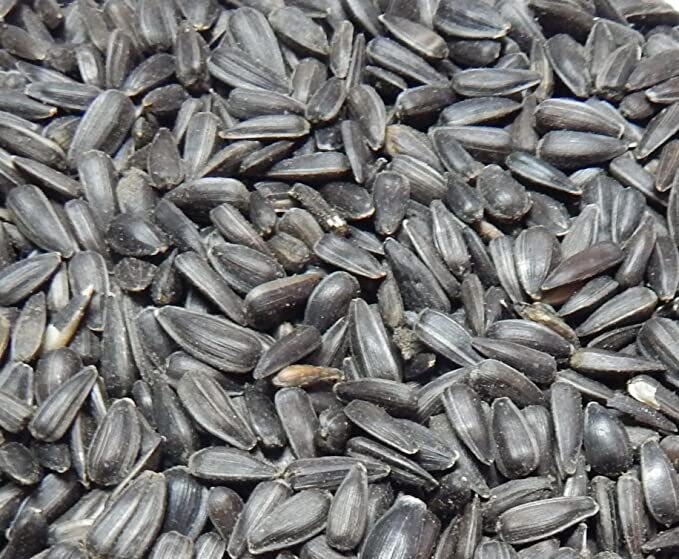 Sonnenblumenkerne im 15kg Sack