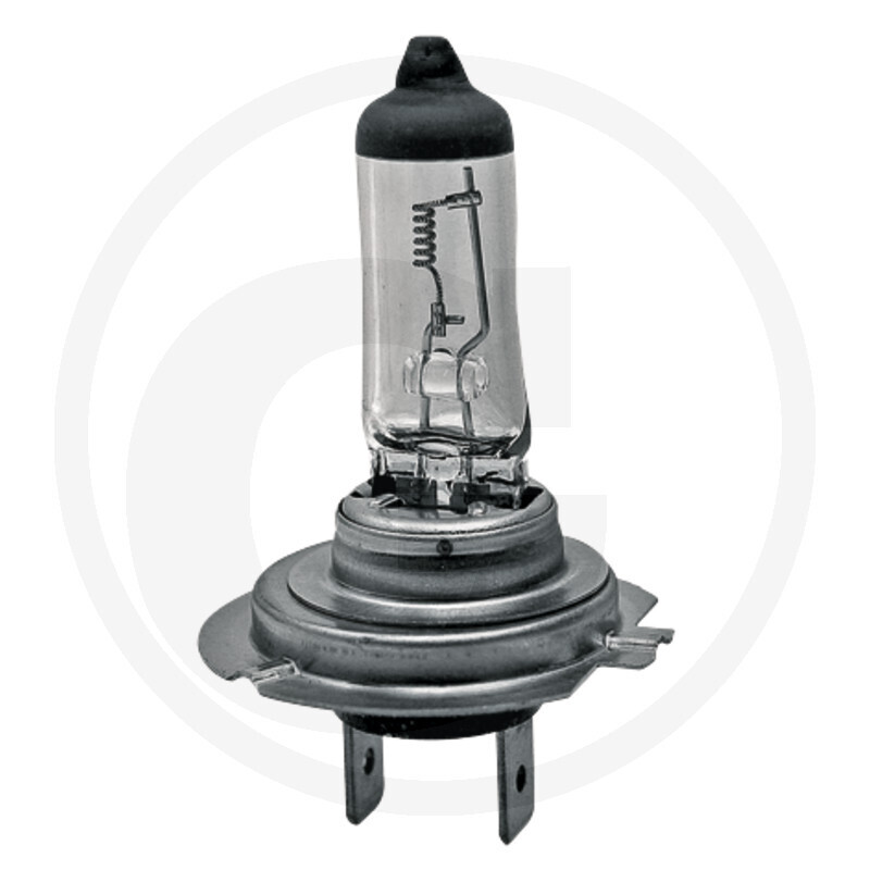 GRANIT Halogenlampe H7     24V / 70W