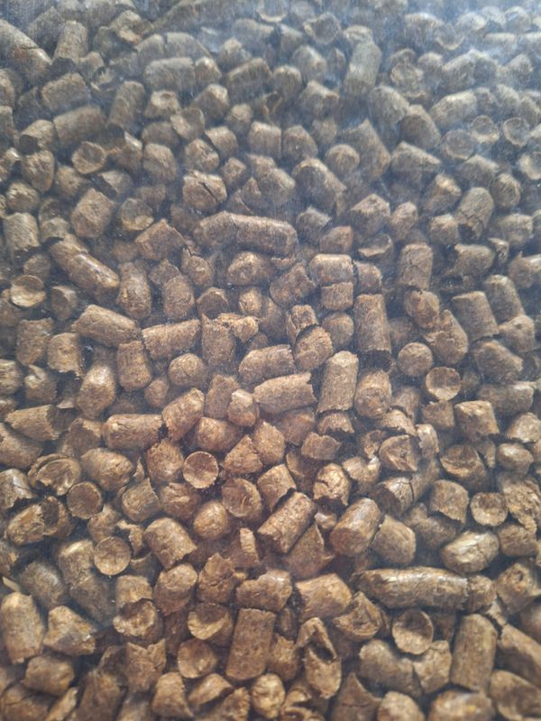 Horse Strohpellets, 72 Sack,
auf Palette Horse Strohpellets, 72 Sack,
auf Palette
