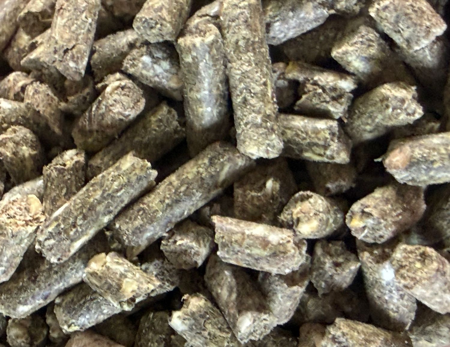 Eldenaer Gold Derby, 25kg, Ergänzungsfuttermittel für Pferde