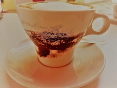 Mind to Heart Detox, 2 Day Online Retreat