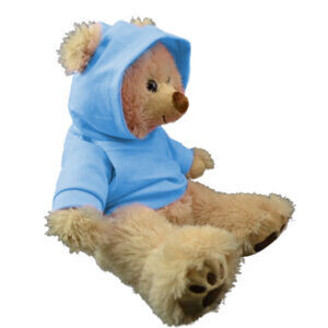 Blauwe Hoodie