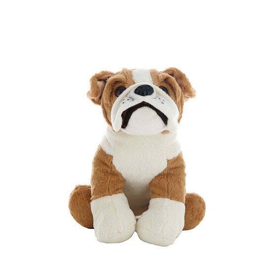 Buddy bulldog