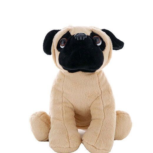 Pugsley de pup