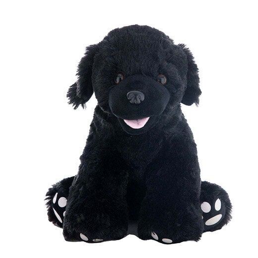 Zwarte labrador
