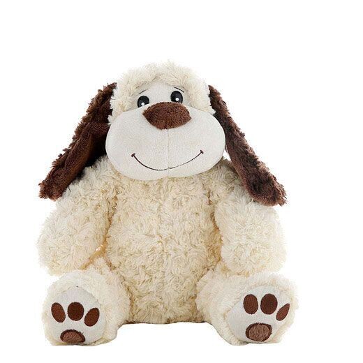 Buttons the dog