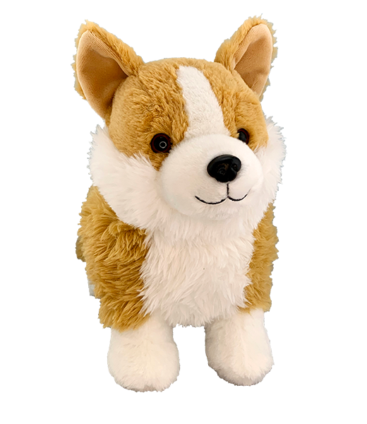 Corgi