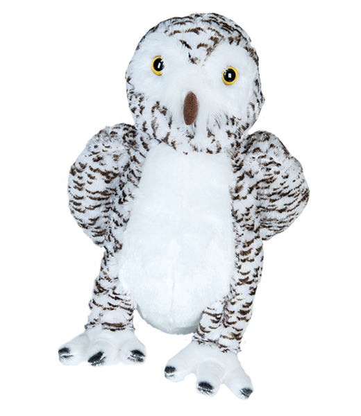 Wise de uil