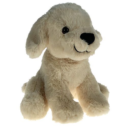 Labrador