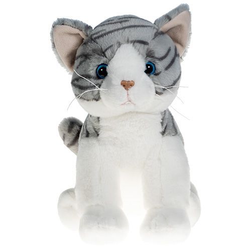 Grijze kat