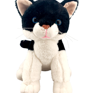 Zwart witje de kat Zwart witje de kat