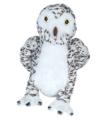 Wise de uil Wise de uil