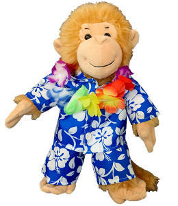 Hawai outfit