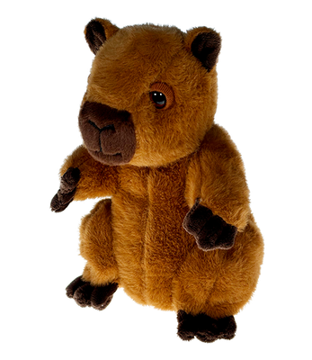 Capybara