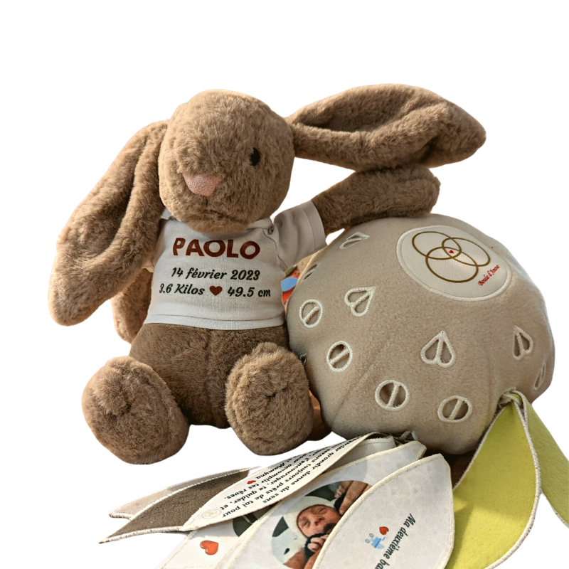 Lapin 30 cm avec tee shirt personnalisé