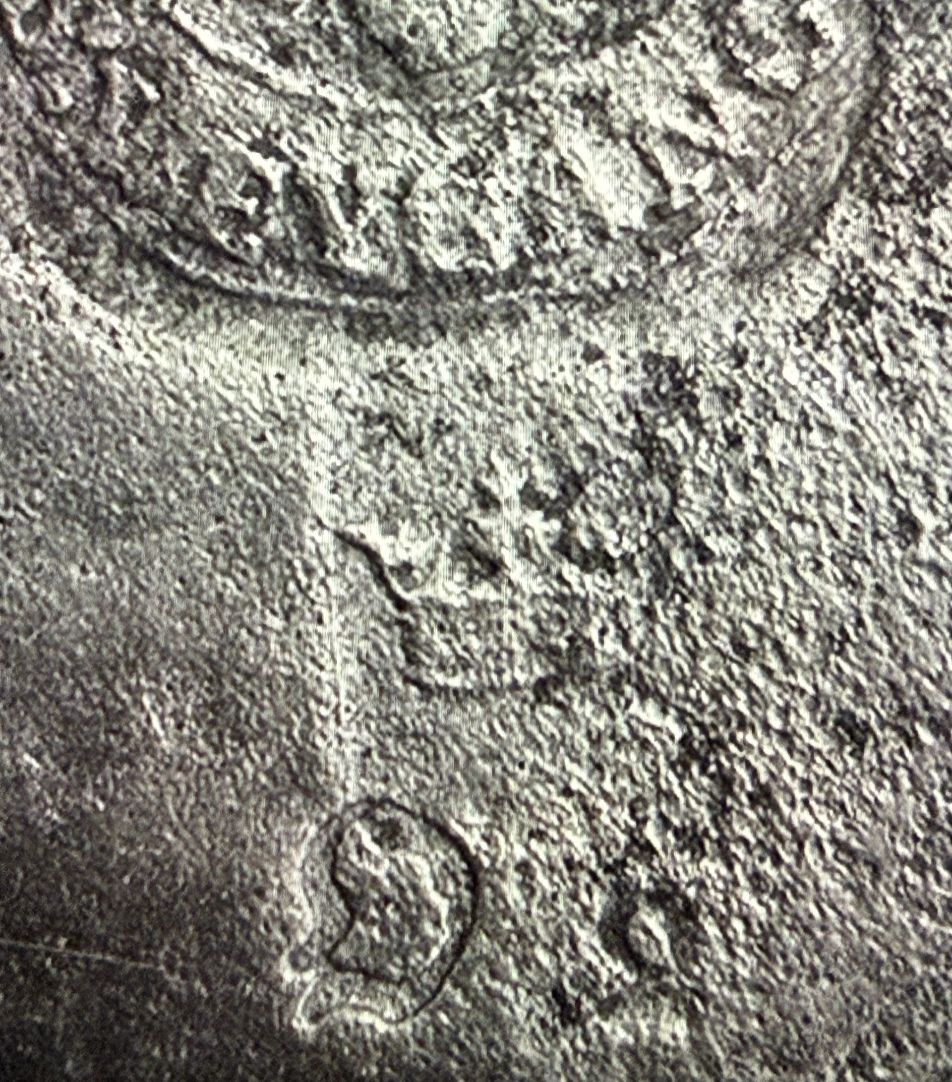 Deckelschale aus Zinn von 1786