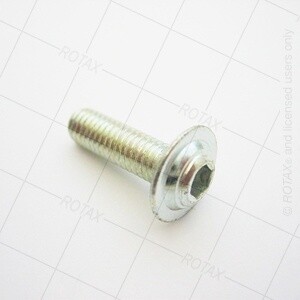ALLEN SCREW W. ROUNDED FLANGE HEAD