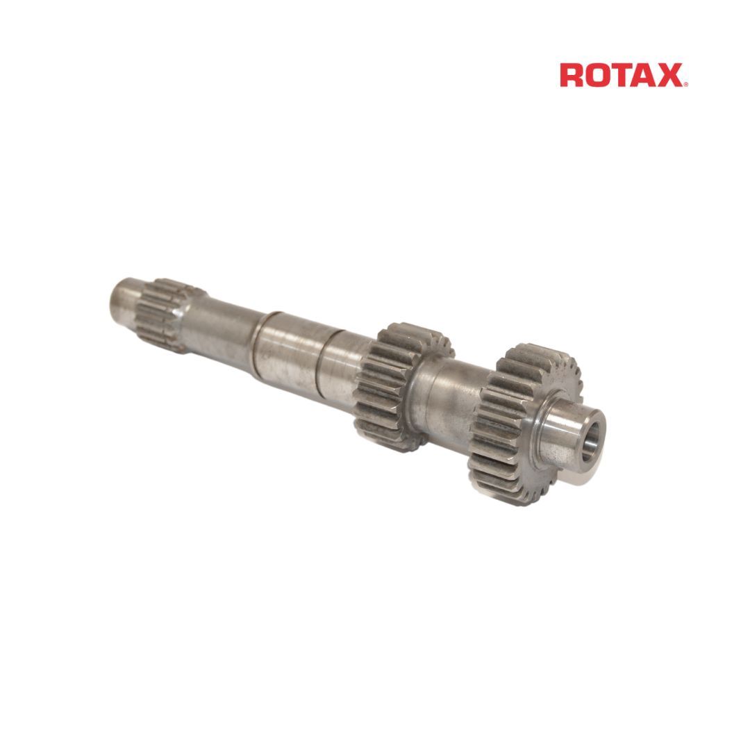 PRIMARY SHAFT 24/19 T