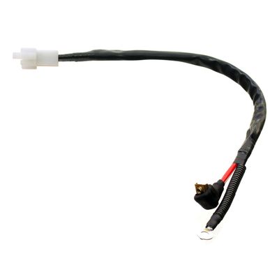 CABLE ASSY. EVO NEW