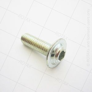 ALLEN SCREW W. ROUNDED FLANGE HEAD, Size: M6X16