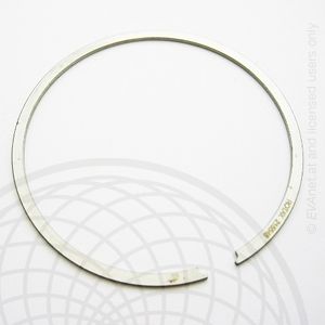 RECTANGULAR RING IS2-54/494X1
