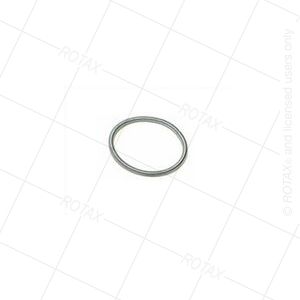 HOSE SPRING