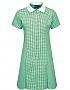 District CE Primary Gingham Dress