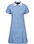 Wargrave Primary Gingham Dress