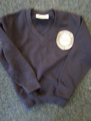 Wargrave Primary V-Neck Sweatshirt