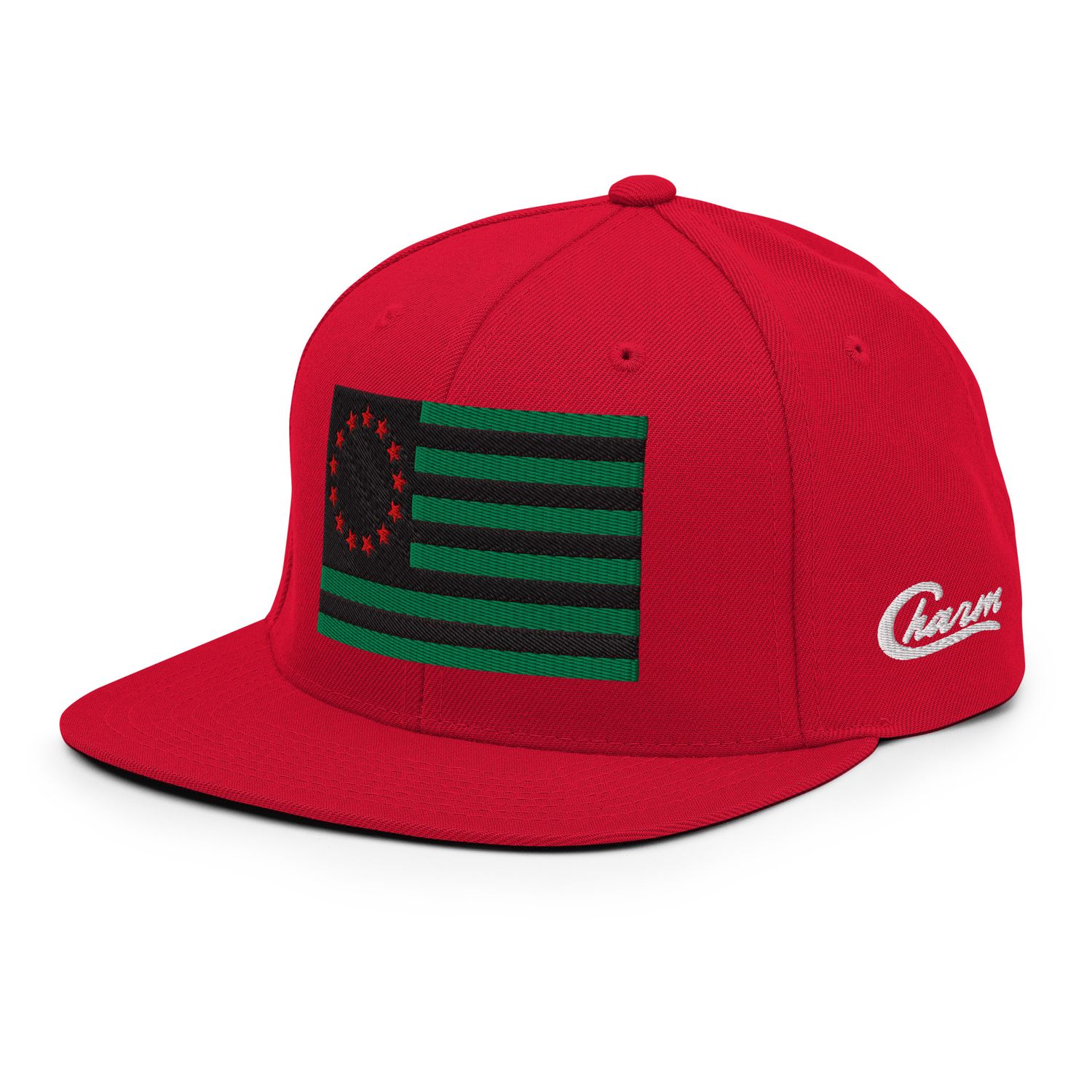 RBG Snapback Hat