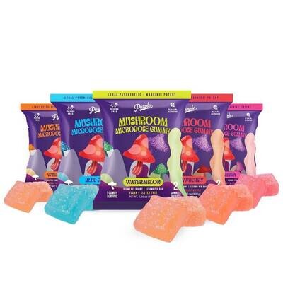 Purple Mushroom Enhanced Microdose Gummies | 2 Pack