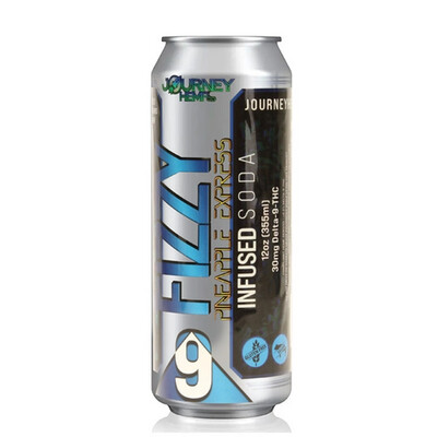 Journey Hemp Co. Fizzy Delta-9 | Infused Soda | 12oz | 30 mg