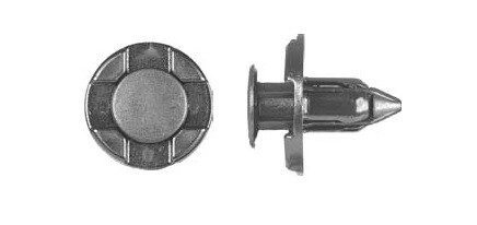 2-Part Pushpin - Pack of 50